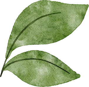 leaf watercolor clipart